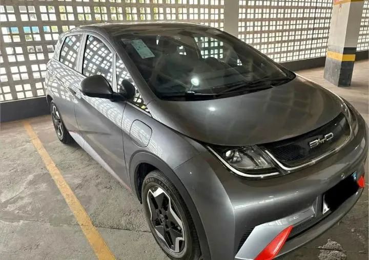 BYD Dolphin 2024