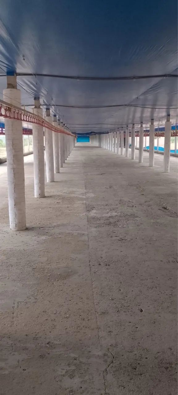 Garanhuns Ótima Granja Automatizada