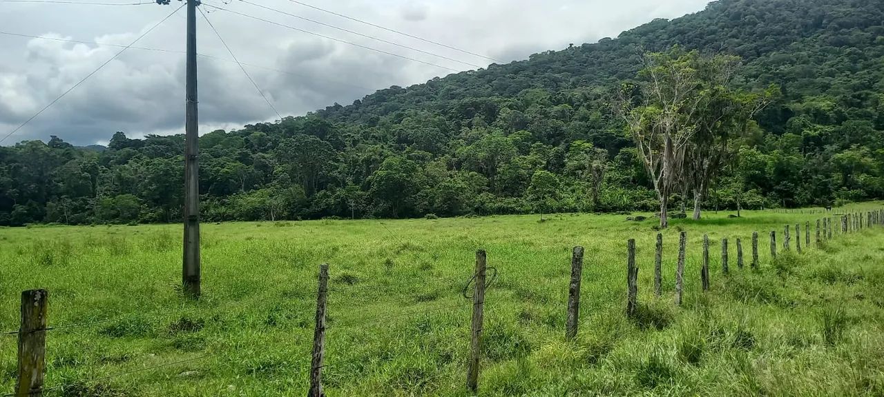 Fazenda com 4 quartos à Venda, 160 m² em Itapé/BA - Foto 2