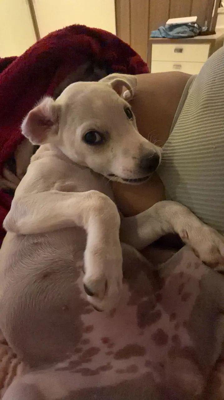 Doação responsável  - Foto 2