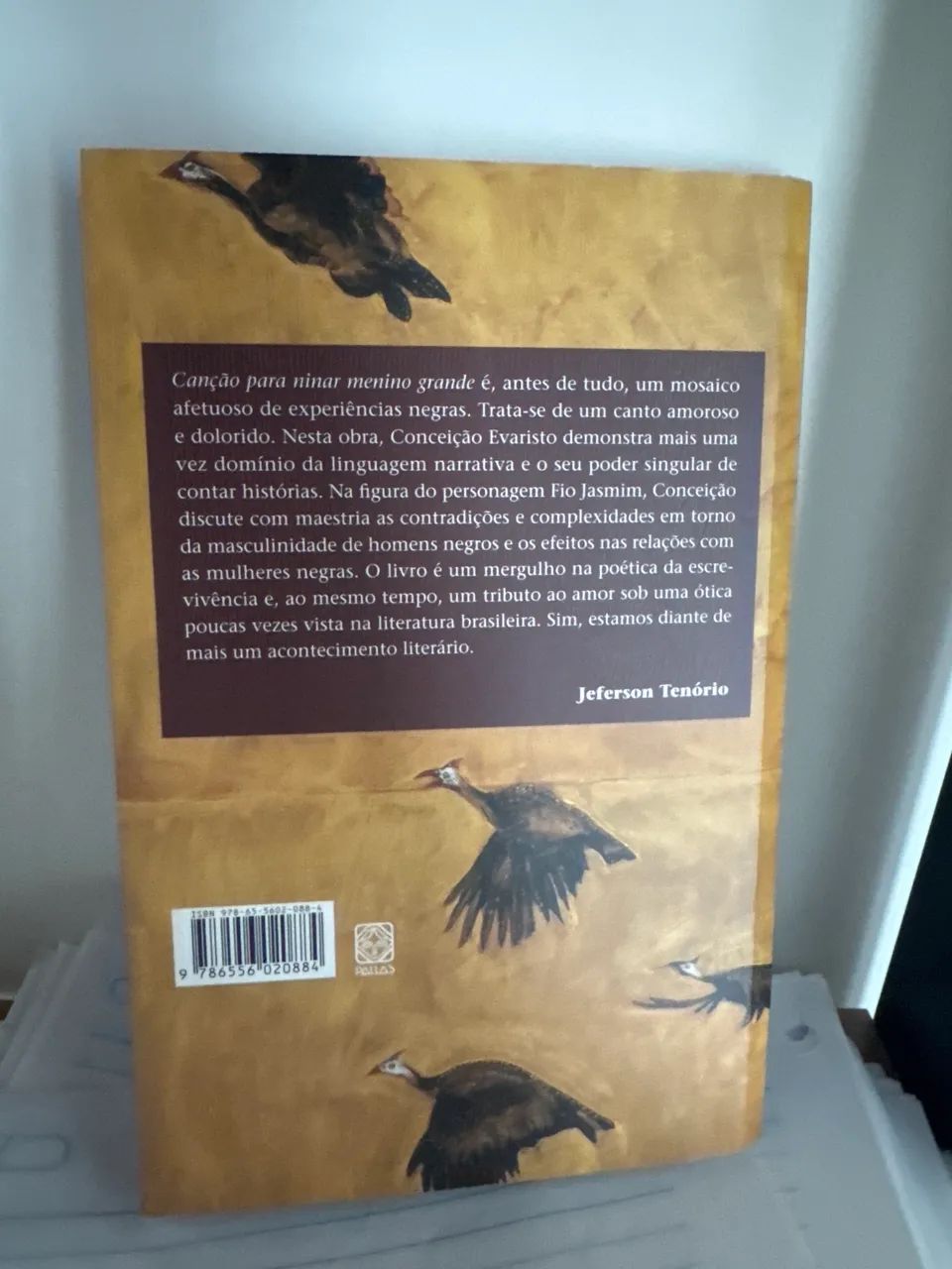 Livro canção para ninar menino grande  - Foto 2