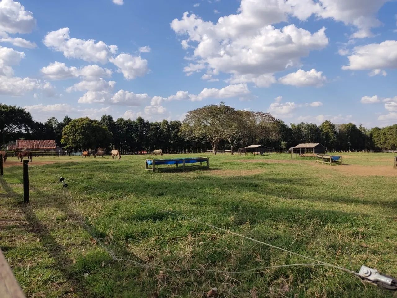 EXCELENTE HARAS A VENDA NA REGIÃO DE ITAPETININGA-SP - Foto 5