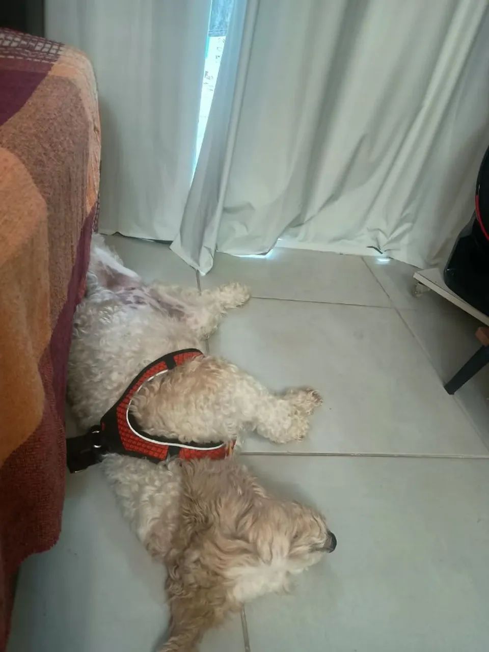 Doação  - Foto 2