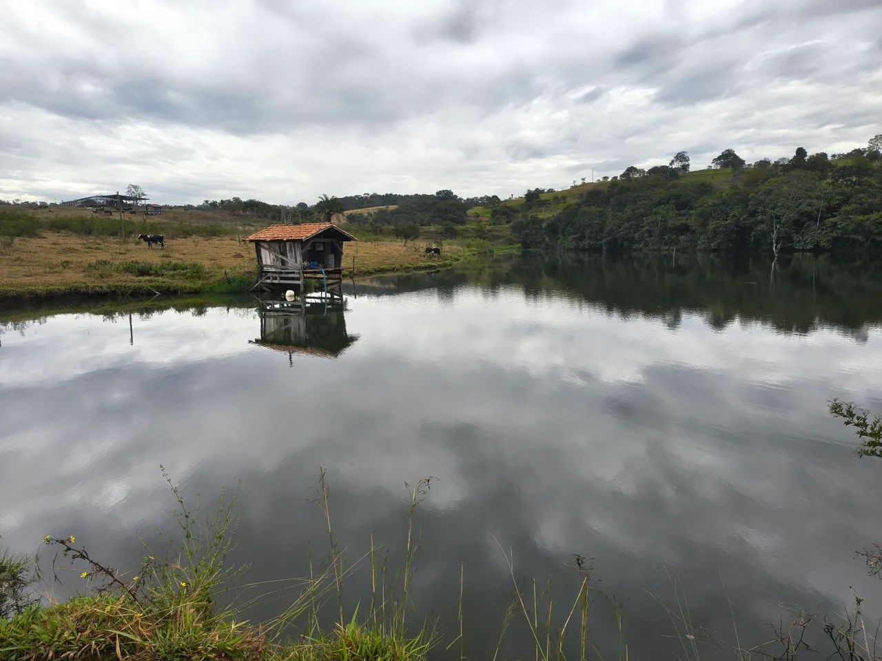 Fazenda Extra 34 alqueires! - Foto 3