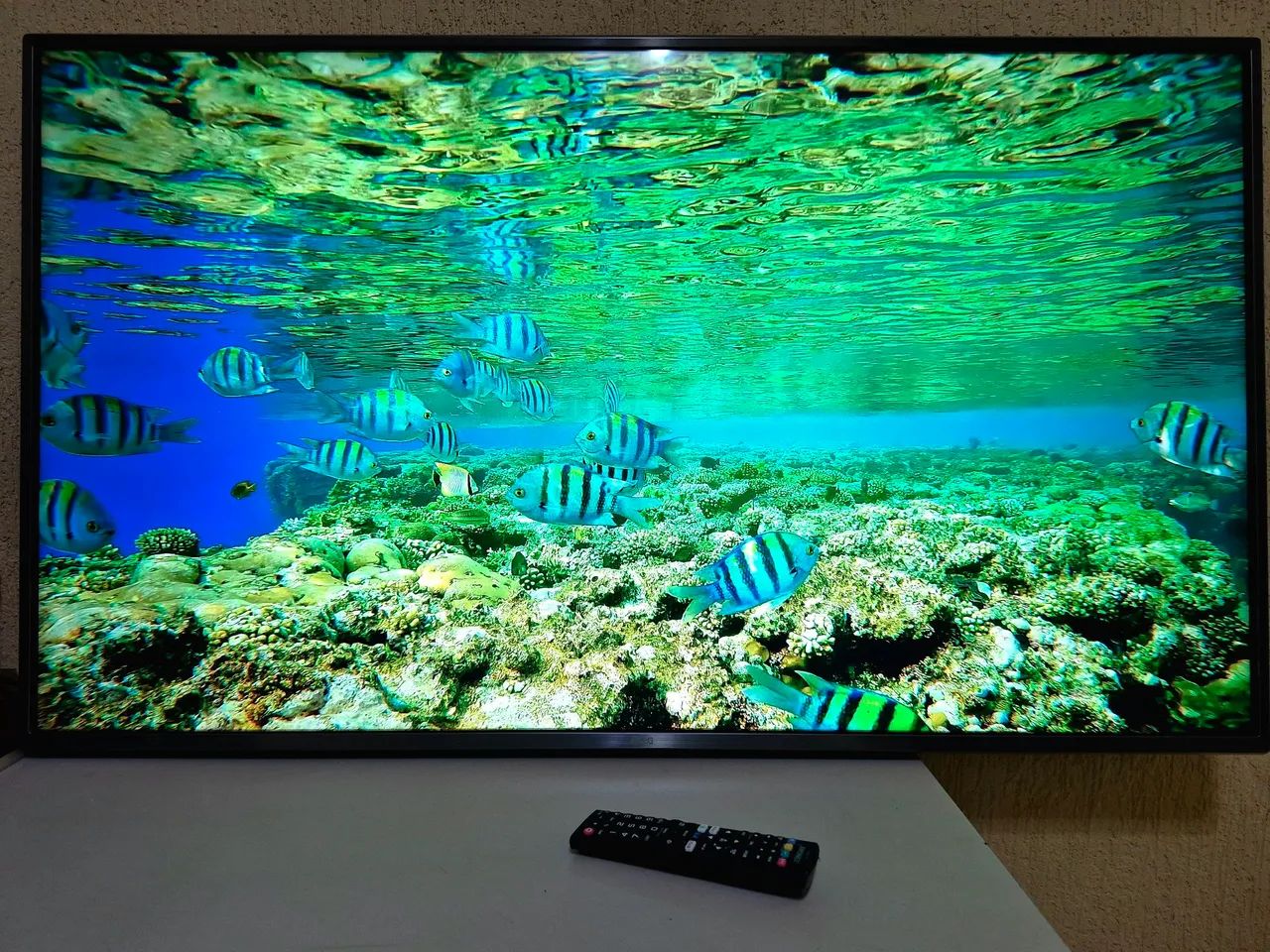 Smart TV LG 49 polegadas Full HD (vem com as propostas)