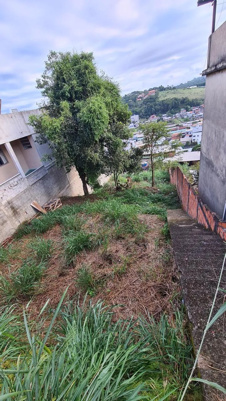 Lote / Terreno - Santos Dumont - Foto 3
