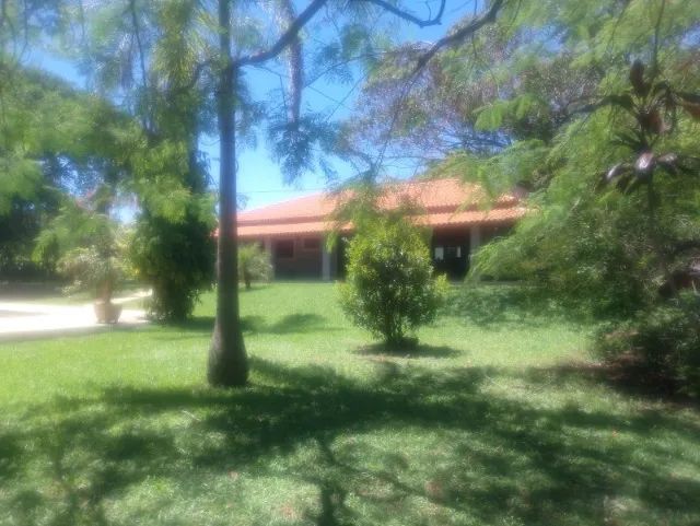Foto - São João da Boa Vista - Jardim das Tulipas