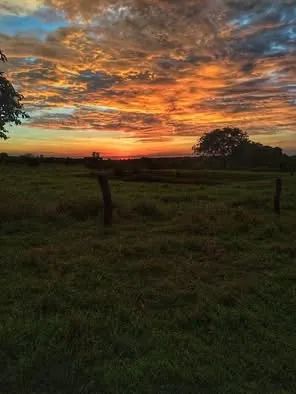 1 hectare de terra localizada na capixaba/Alcoobras