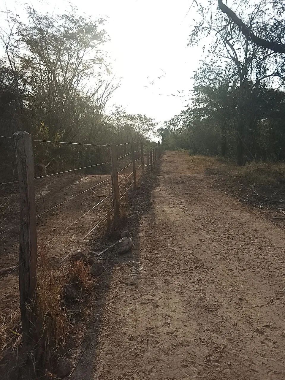 19 hectares  - Foto 5