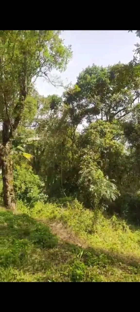 Vendo terreno Ibiúna bairro dos alves  - Foto 4