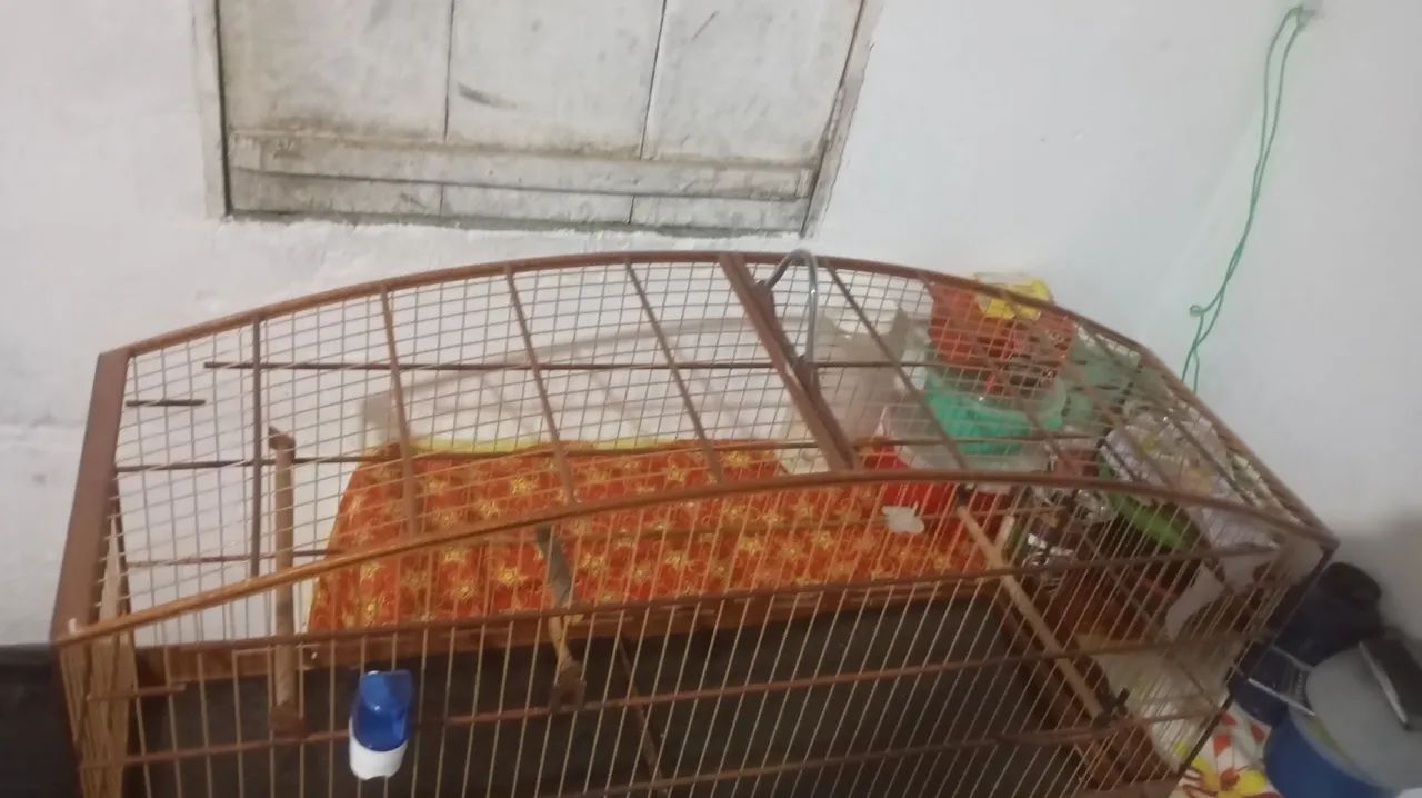 Voador malha de trinca  - Foto 4