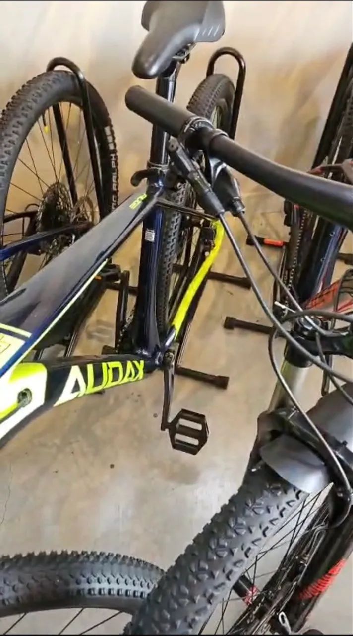 Bicicleta audax auge 40