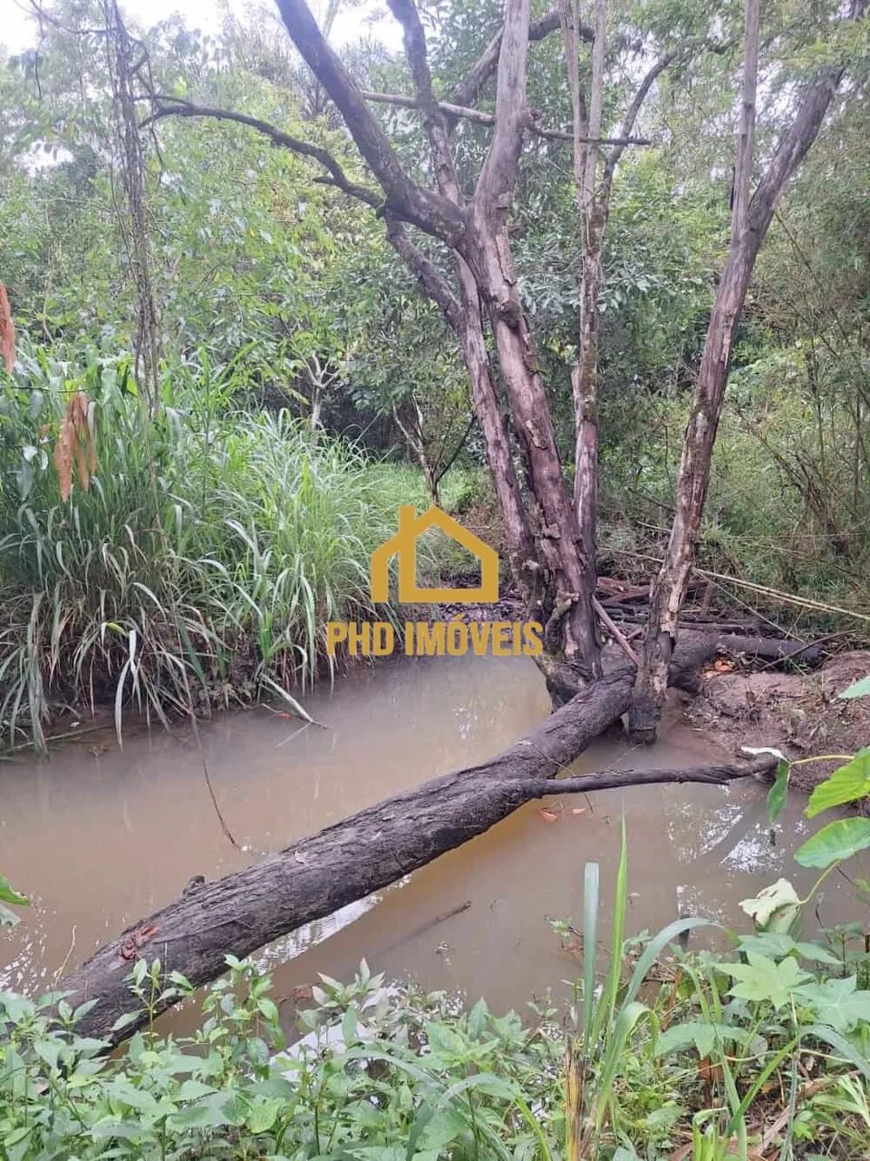 Lote para comprar Braúnas Belo Horizonte - Foto 3