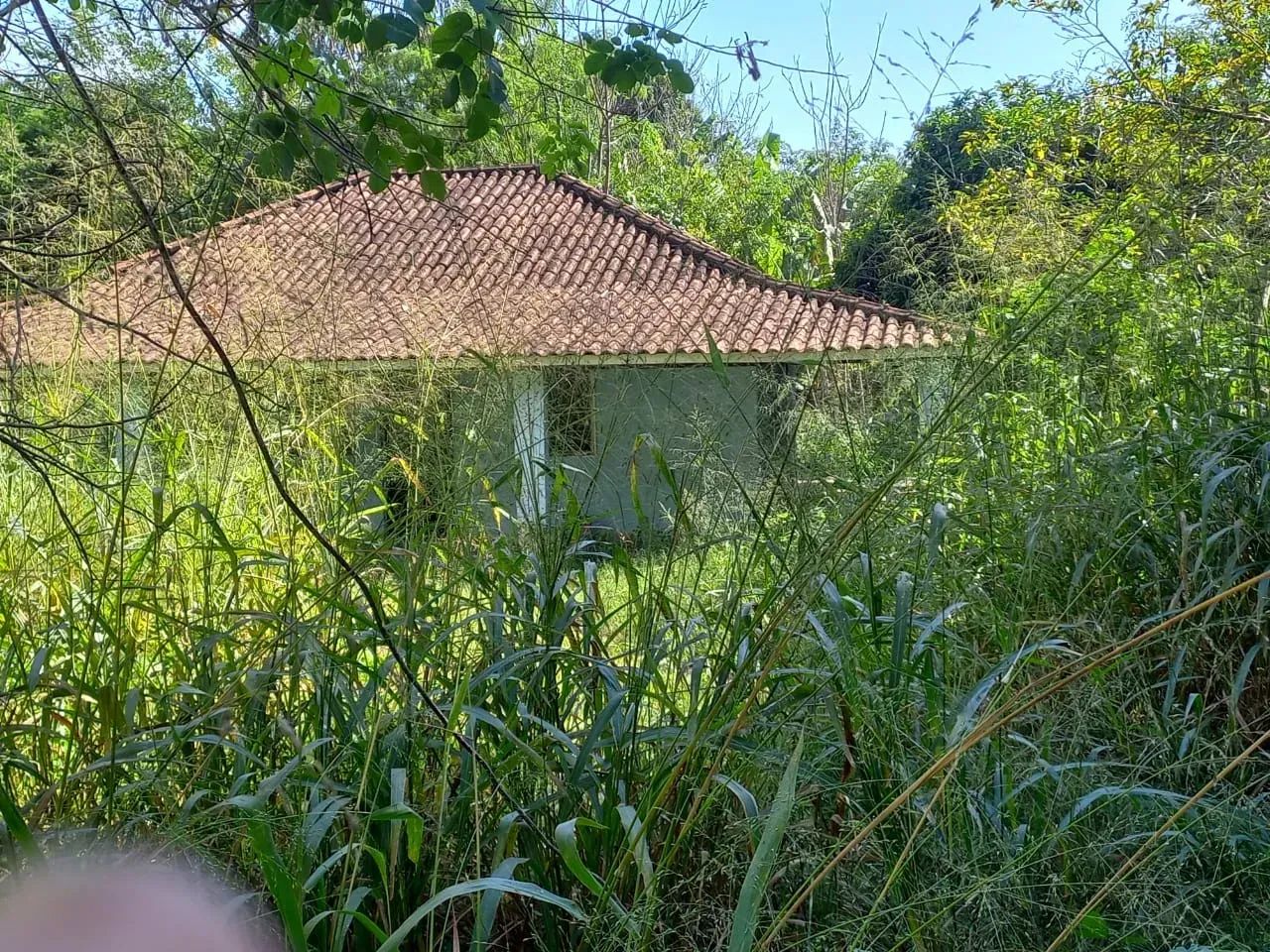 área com 30.000m²