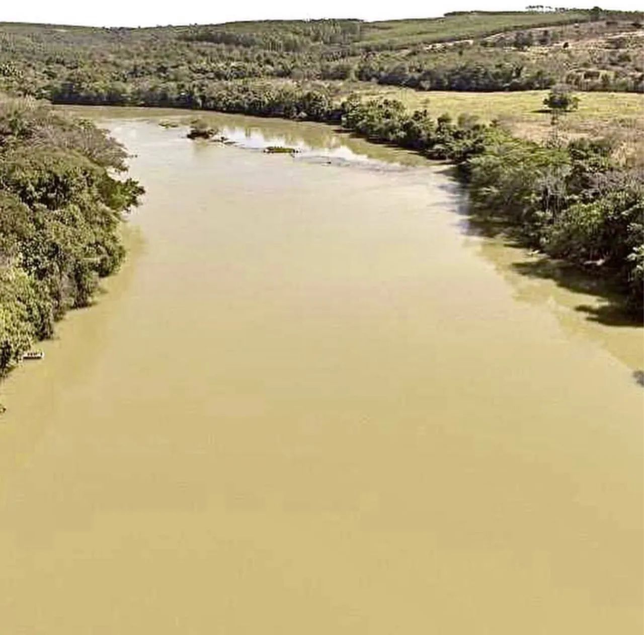 Chácara às margens do Rio São Francisco - Abaeté /  - Foto 3