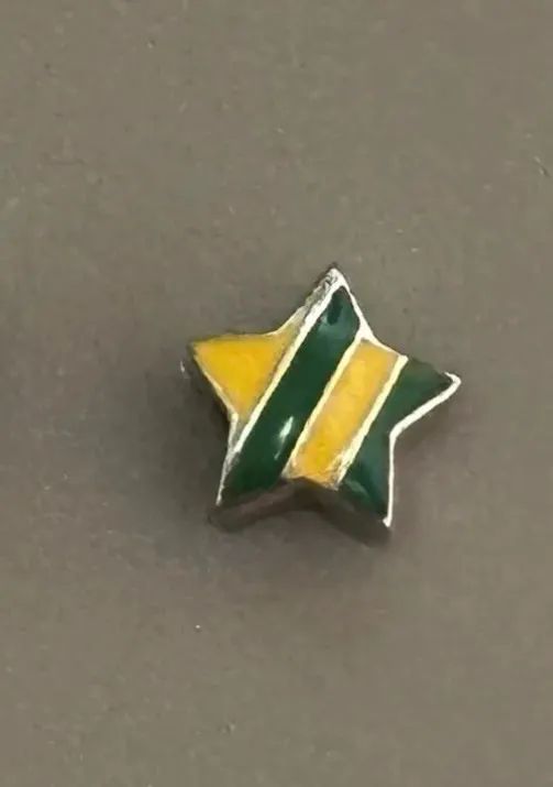 Berloque Life Vivara Estrela Brasil 