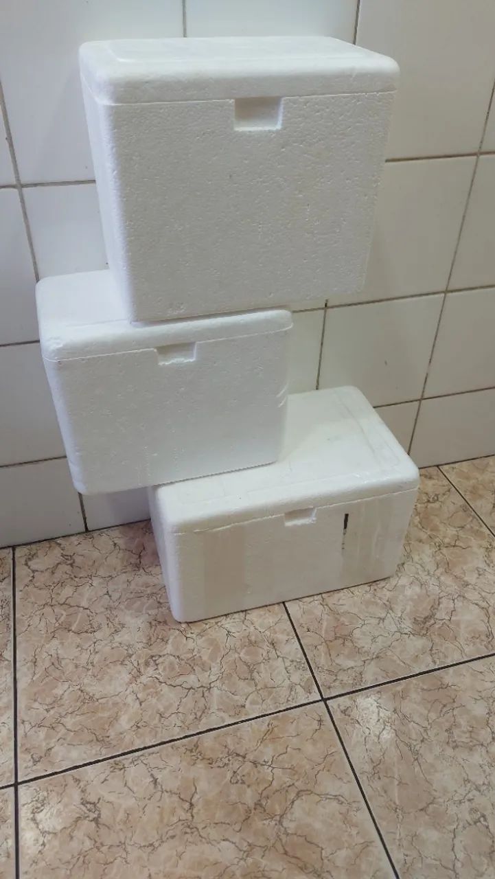 Kit (7 caixas térmicas): Uma de 9L e Seis de 6L - Foto 2