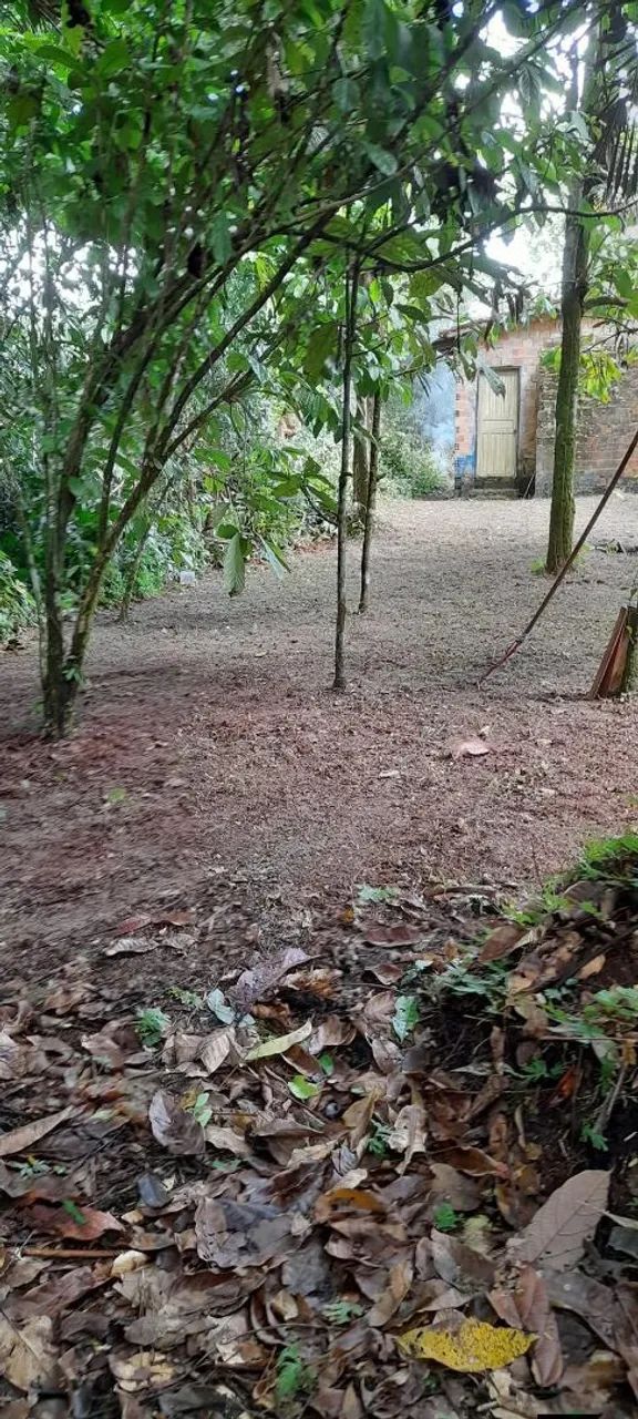 Casa em Vigia, Santa Maria do guarimã.  - Foto 4