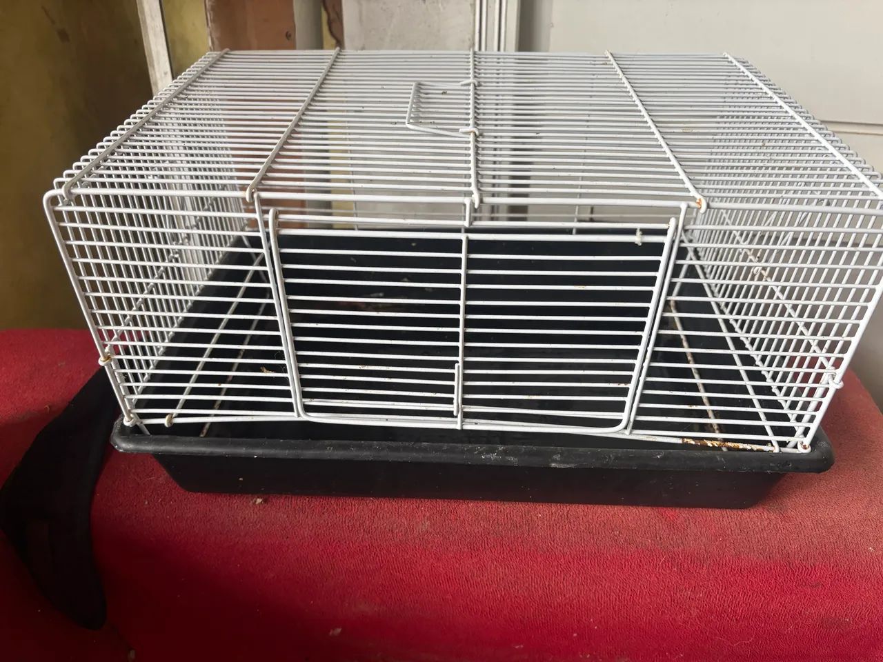 Gaiola Porquinho da Índia/hamster