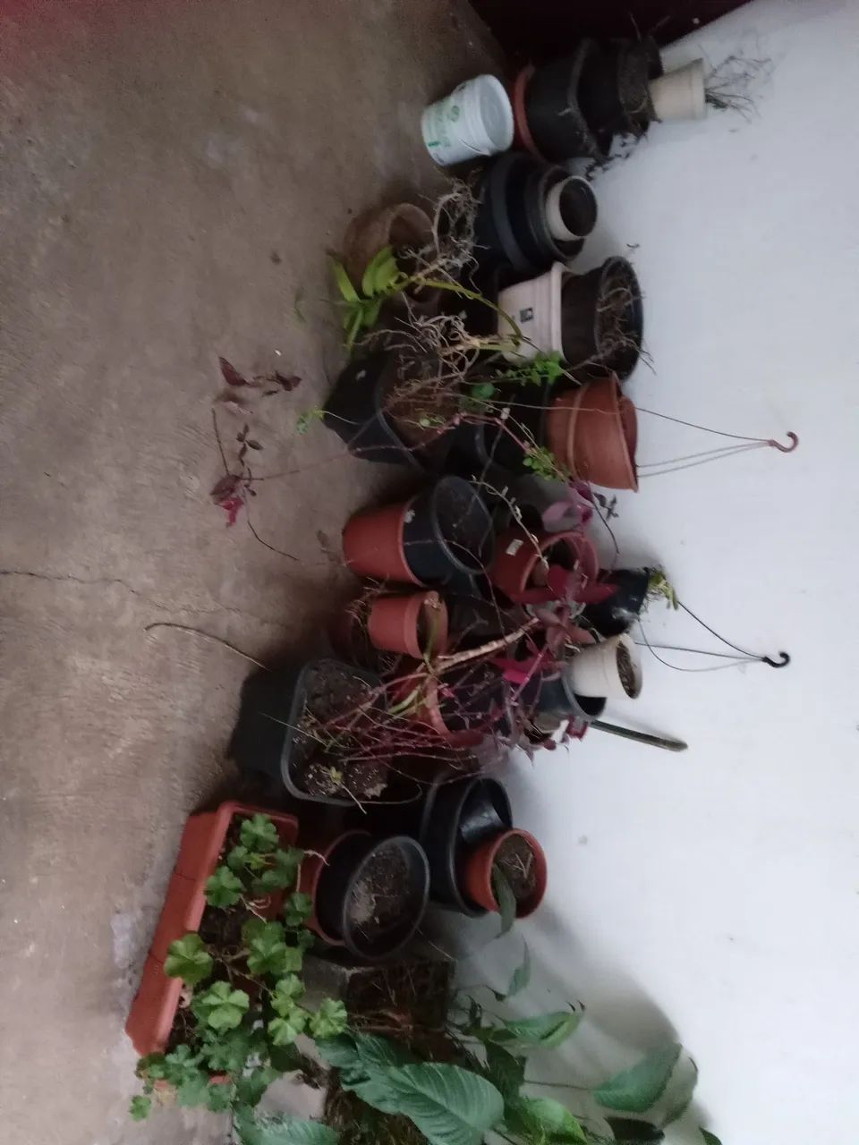 Vasos para plantas  - Foto 2