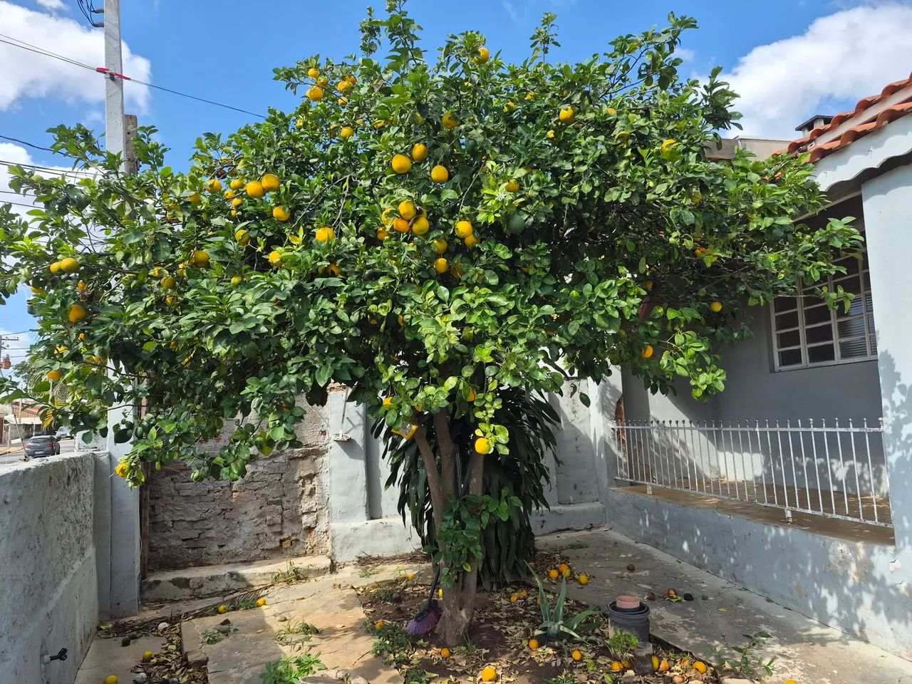 Casa vila pompeia - Foto 5