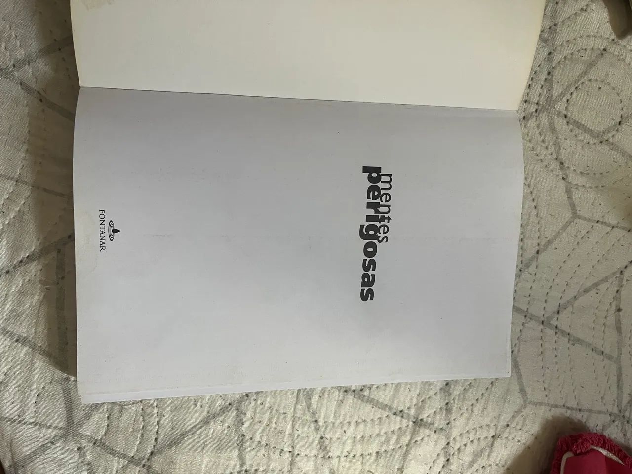 Livro mentes perigosas