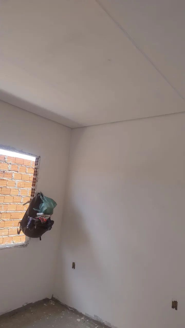 Pintor profissional 