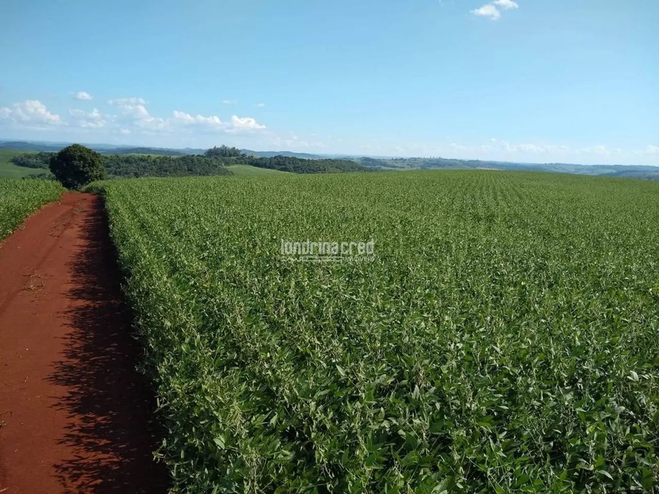 Terreno à venda, RURAL, Assaí, PR - Foto 2