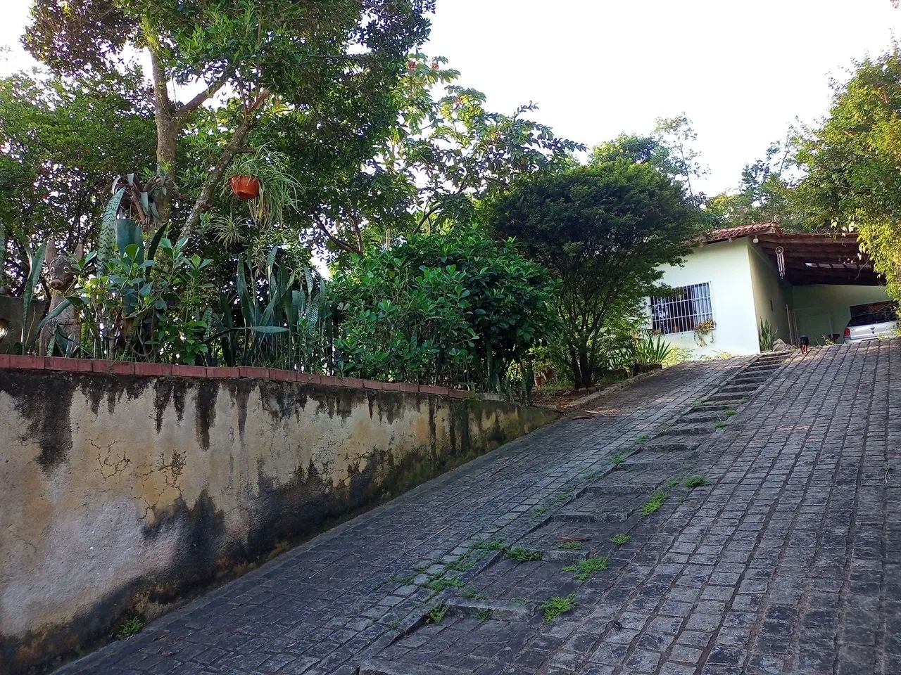 Foto - Joinville - Floresta