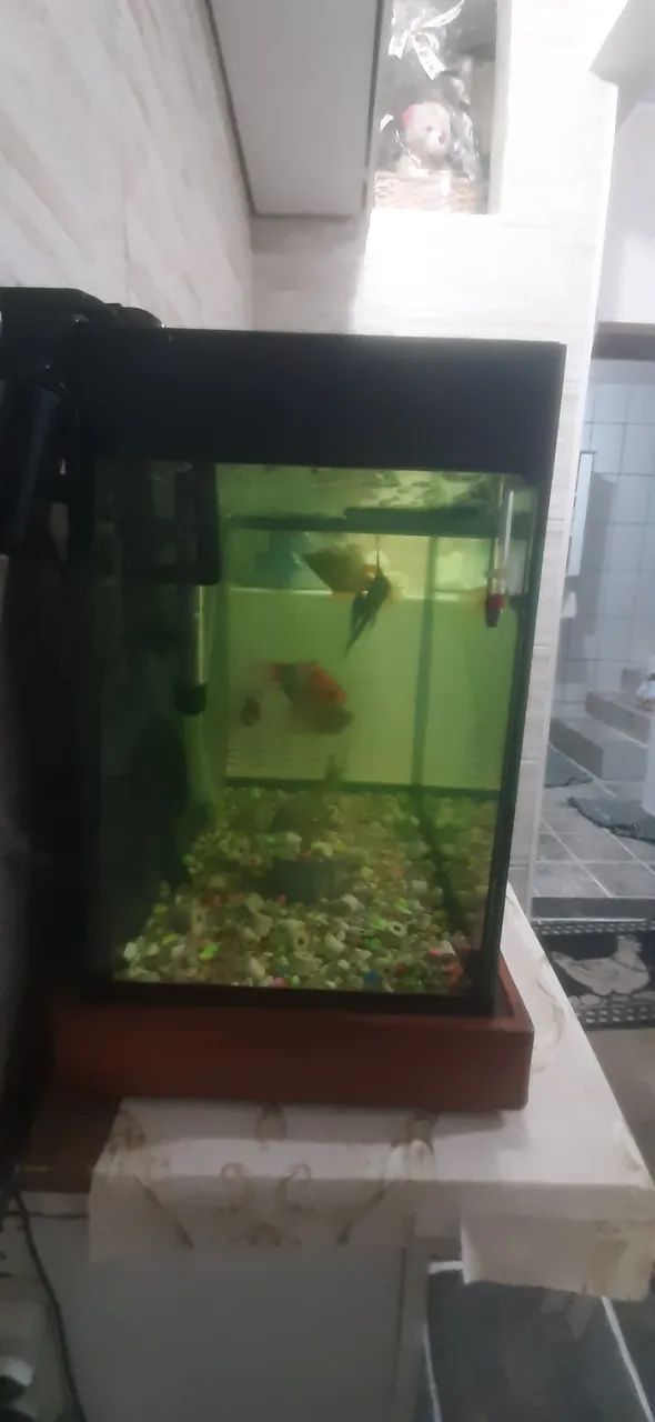 Aquário  completo com acessórios  valor  480,00 - Foto 4