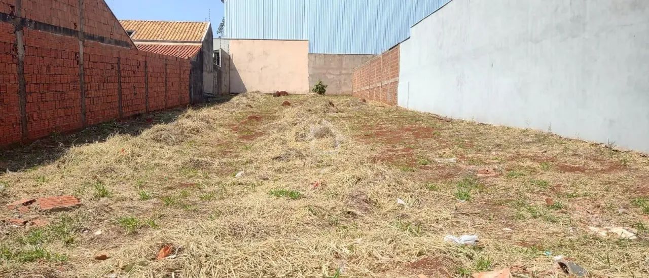 TERRENO AMPLO NO MONTE CASTELO - Foto 4