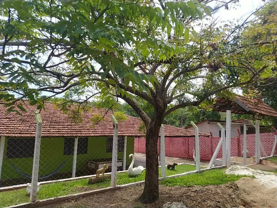 Vendo Rancho em SABINO-SP Rio Dourado - Foto 3