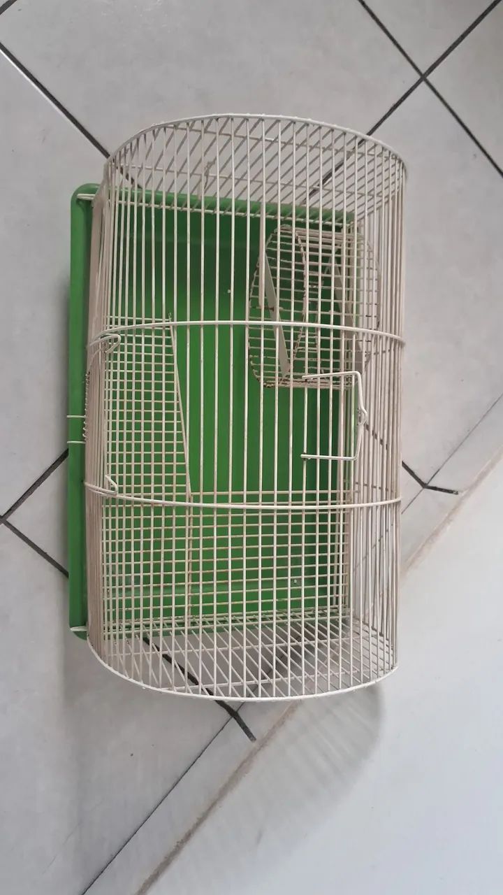 Gaiola cor verde para ramster