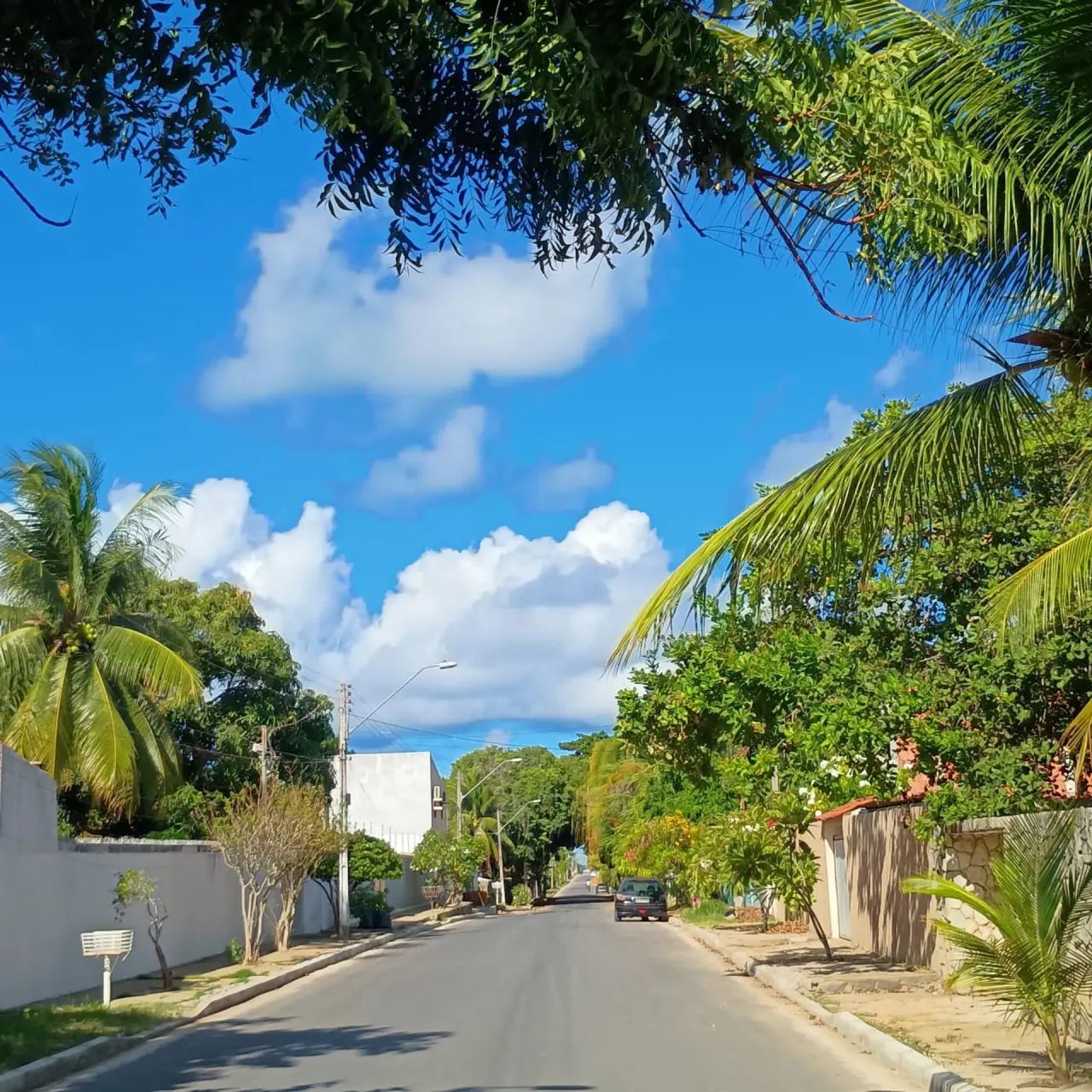 2 LOTES PARK RIO SAUACUY-IPIOCA - Foto 5