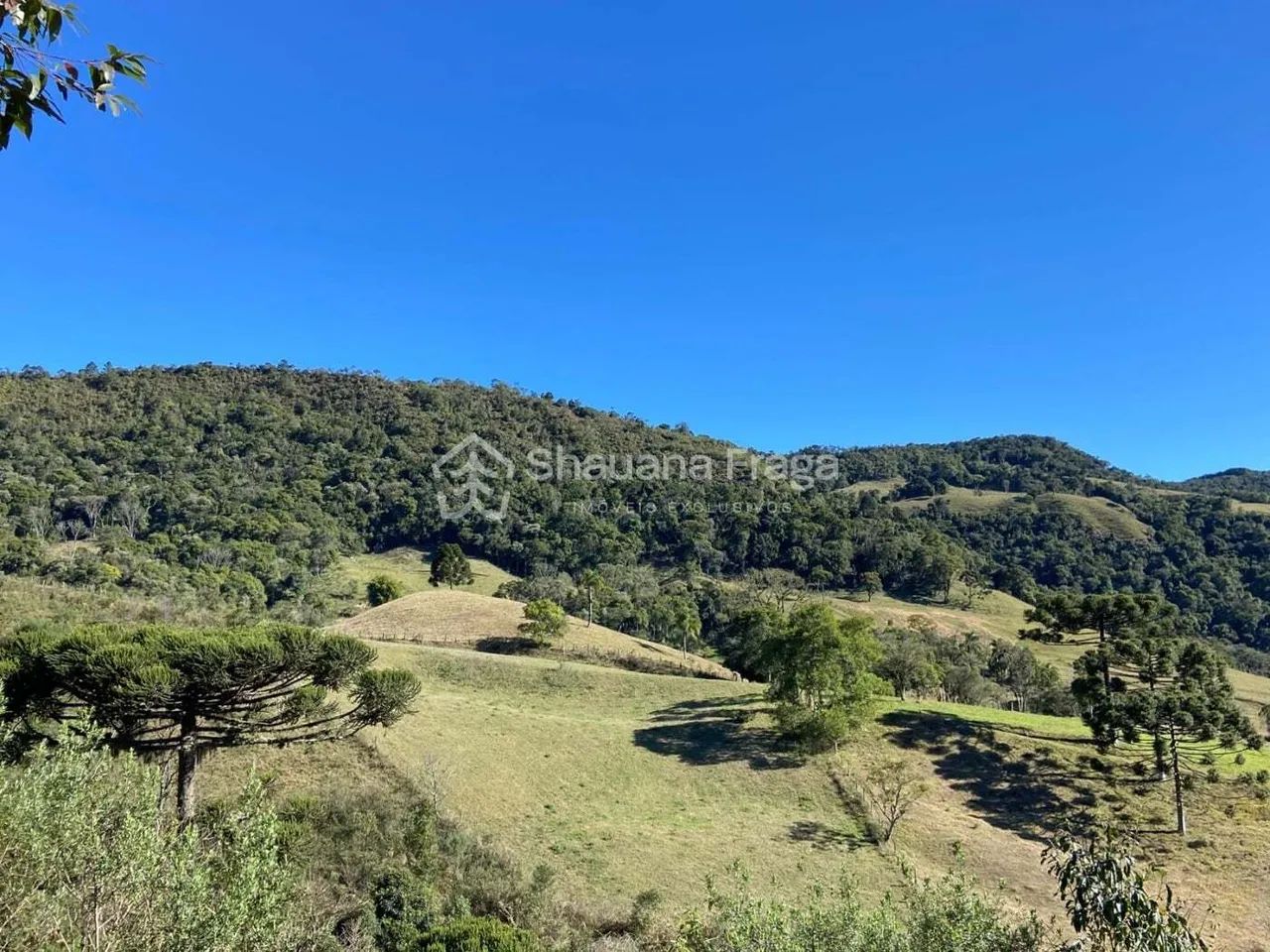 Terreno rural - Foto 2