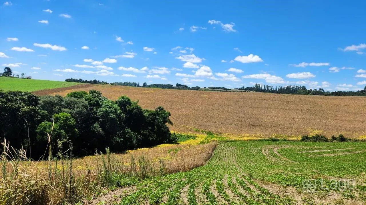 Área Rural Prudentópolis - Foto 3