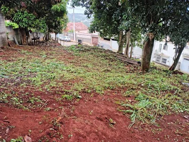 VENDE-SE EXCELENTE LOTE.