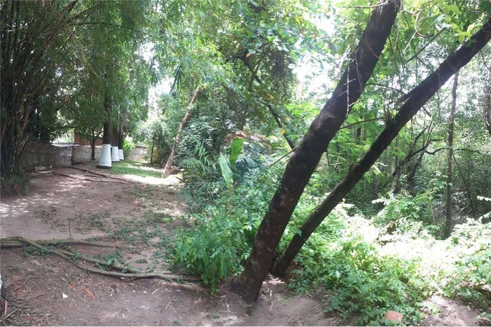TERRENO COM CASA AS MARGENS DO CAPIBARIBE - Foto 4