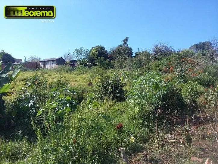 4 EXCELENTES TERRENOS URBANOS - ÁREA 7 - Foto 5