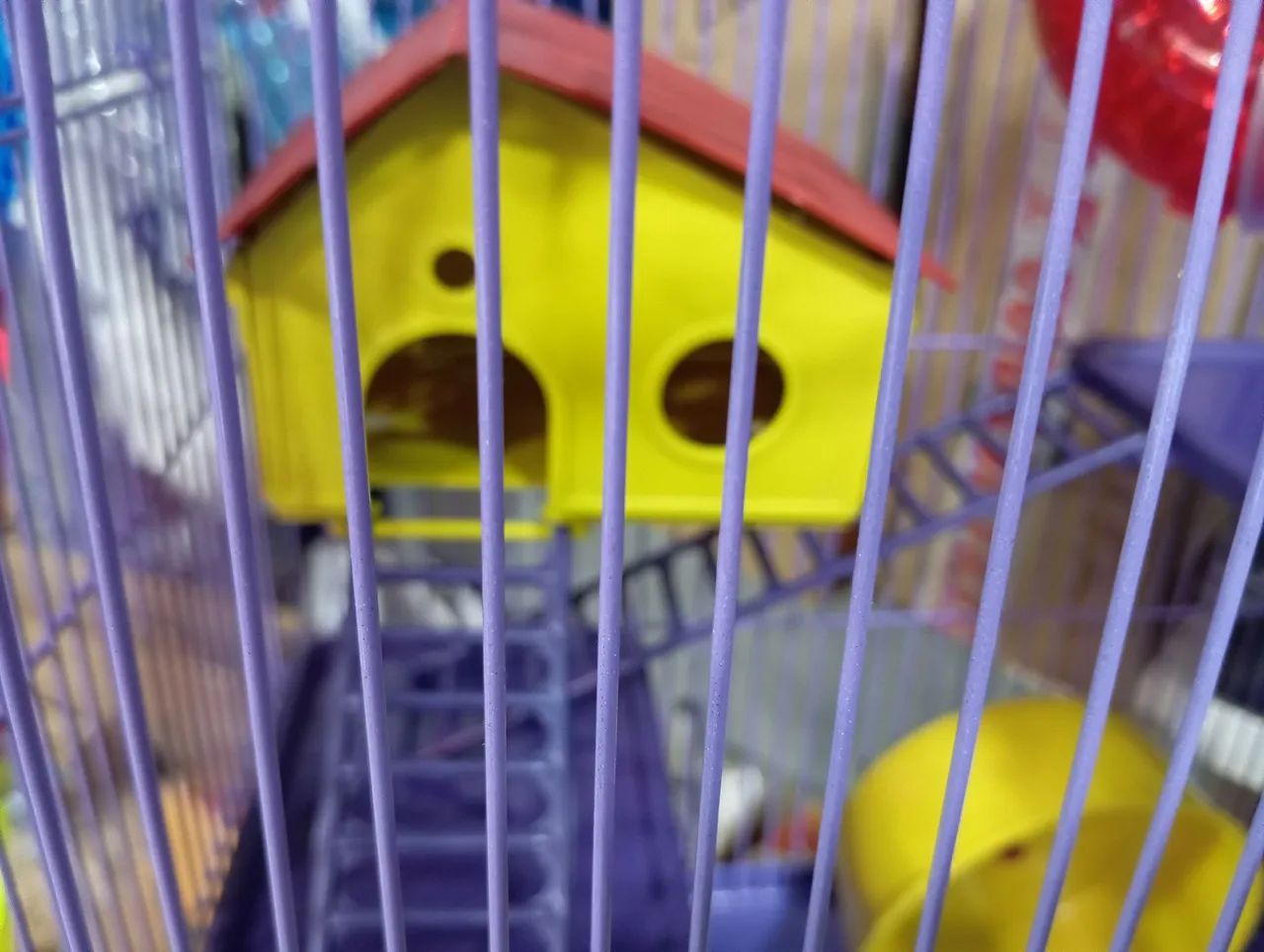 Gaiola para hamster, diversas cores / modelos  - Foto 6