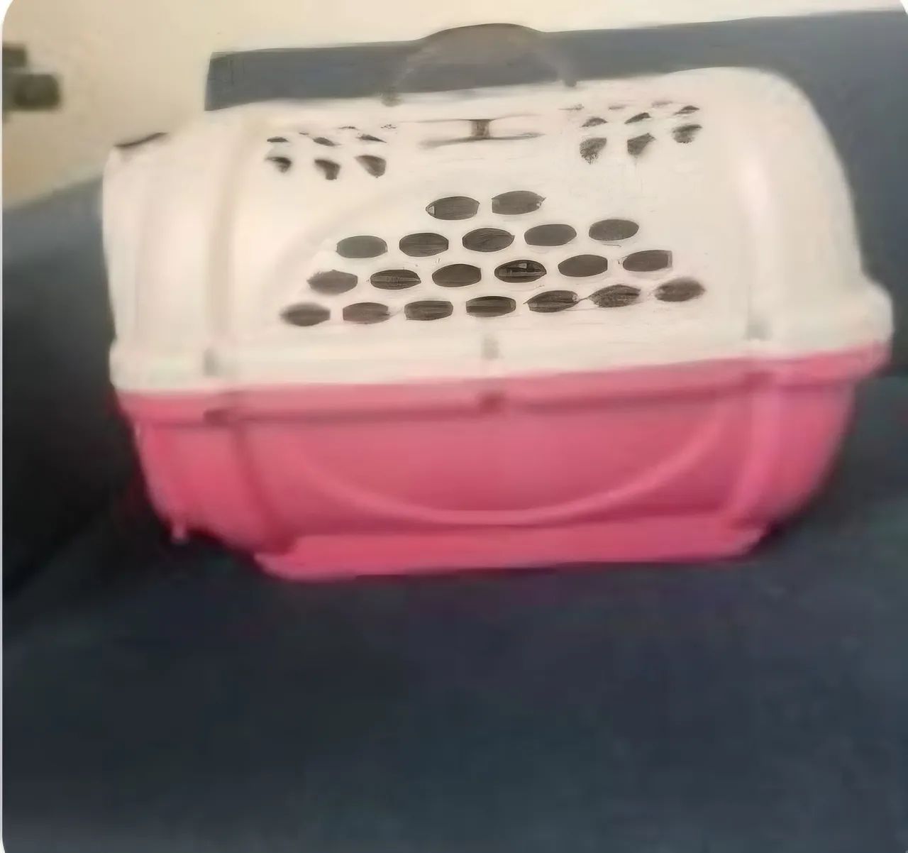 Caixa de transporte Pets