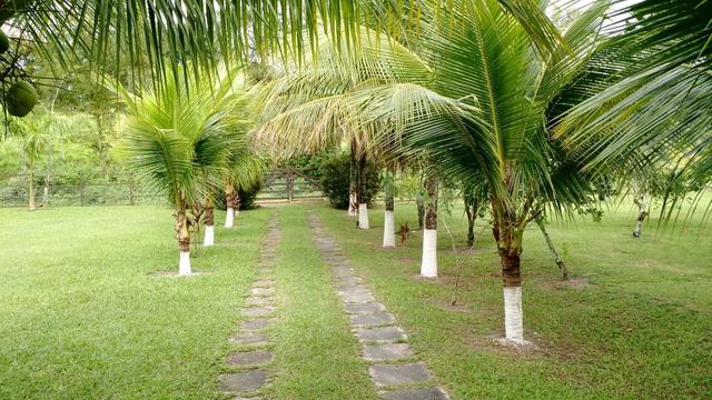 Belíssimo sítio em Agro Brasil - Cachoeiras de Macacu RJ 116 oportunidade!!!! - Foto 2