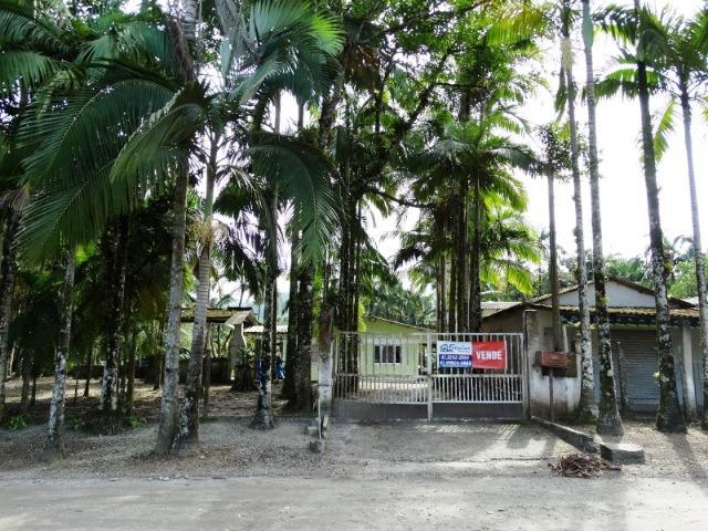 Chacara de 7.000m² Colonia Pereira - Matinhos - Foto 2