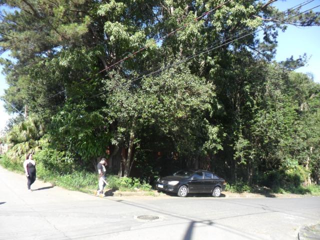 Terreno - Foto 3