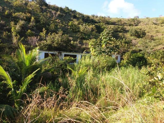 Sítio 6ha em Tamandaré - Foto 5