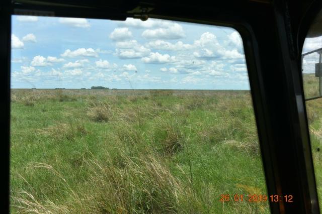 Fazenda na região de corumba ms - Foto 5