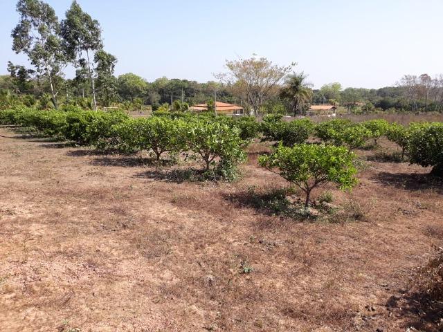 Chácara no Setor Agrícola, em Média, há 20km de Imperatriz - Foto 13