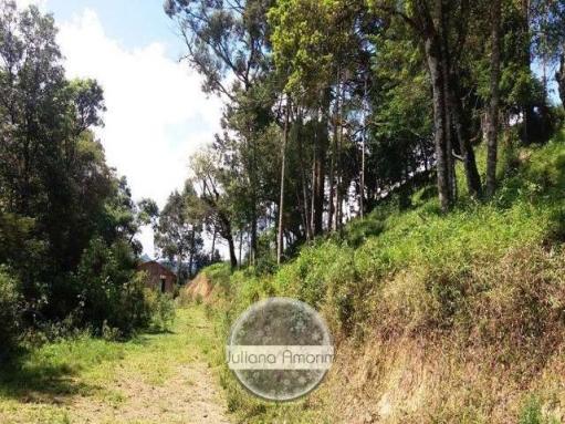Urubici terrenos - Foto 10