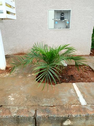 Casa linda na quadra 102,quem vê compra! - Foto 16