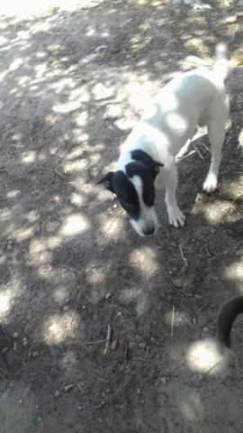Doaçáo